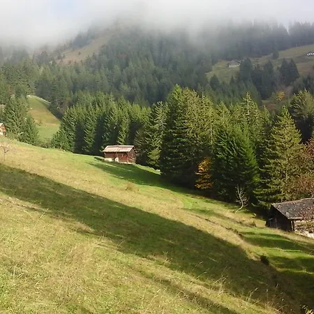 Bed & Breakfast D'hote La Petite Bergerie *