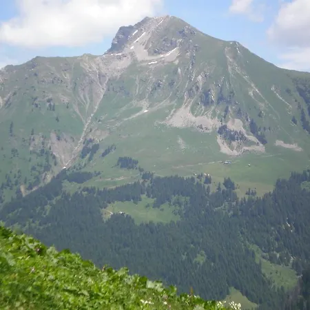 D'hote La Petite Bergerie *