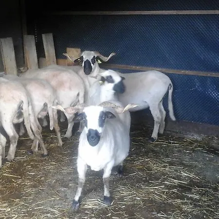 Frühstückspension D'hote La Petite Bergerie