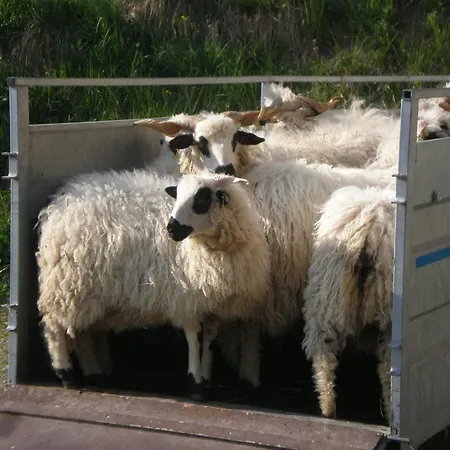 D'hote La Petite Bergerie Abondance